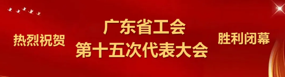 第十五次代表大会